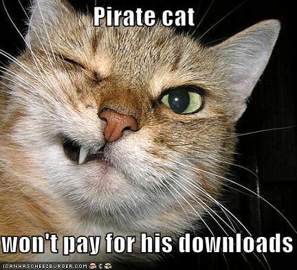 funny-pictures-pirate-cat-grimaces.jpg funny-pictures-pirate-cat-grimaces.jpg