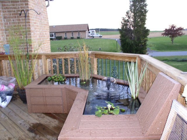 PA100038.JPG