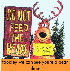 NotABear-1.jpg