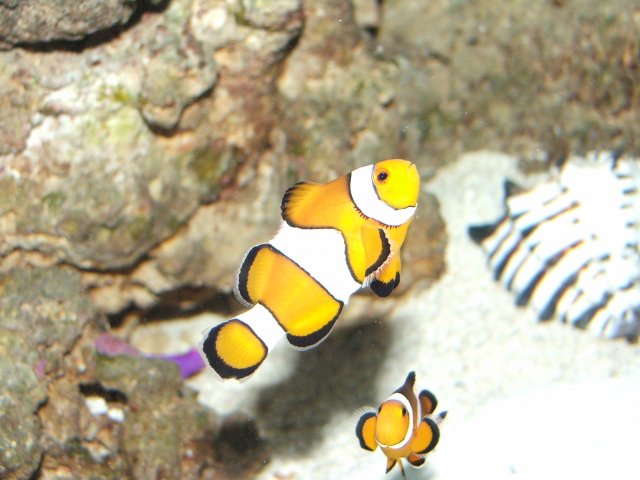 DSCF6789.JPG DSCF6789.JPG