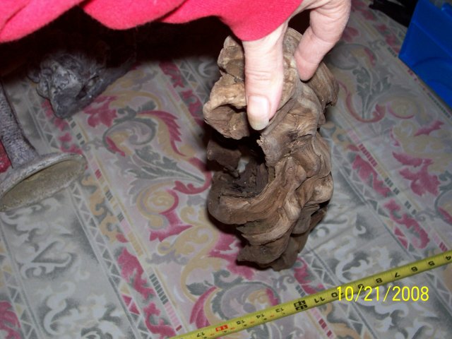 000_1202.jpg