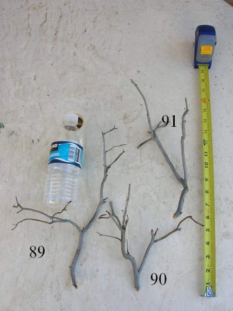 DSCN3373.JPG
