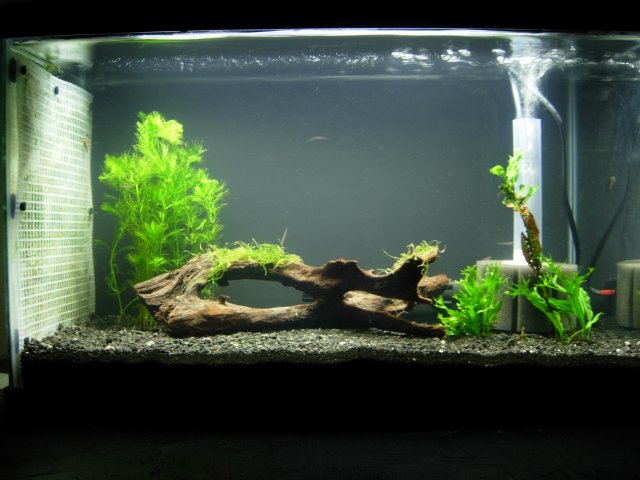 DSCN0425.JPG DSCN0425.JPG