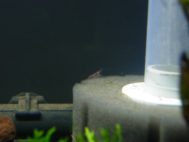 DSCN0427.JPG DSCN0427.JPG