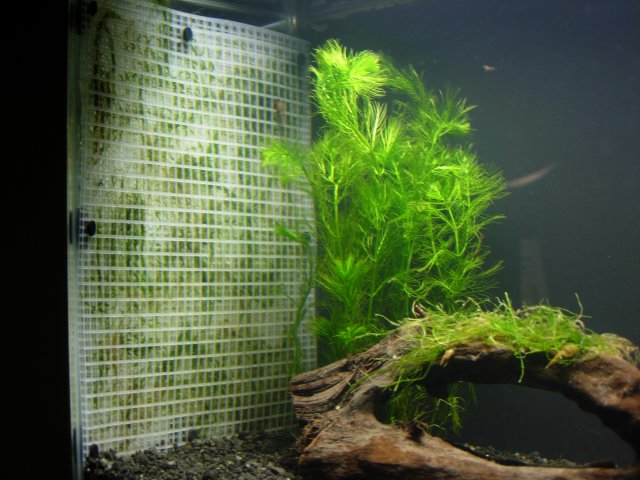 DSCN0428.JPG DSCN0428.JPG