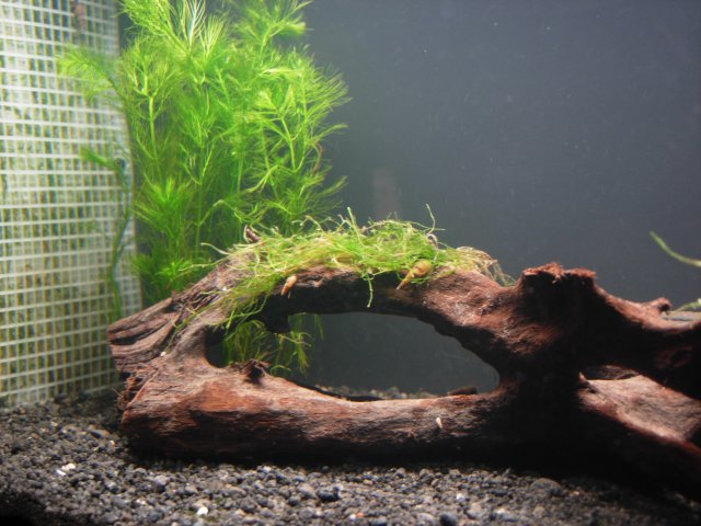 DSCN0429.JPG DSCN0429.JPG