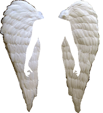 angelwings.gif