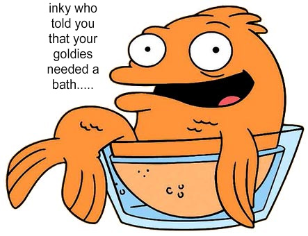 Klaus_the_Goldfish-1.jpg