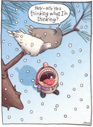 cartoon_birds.jpg