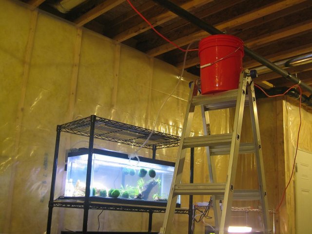 Filling Tank.jpg