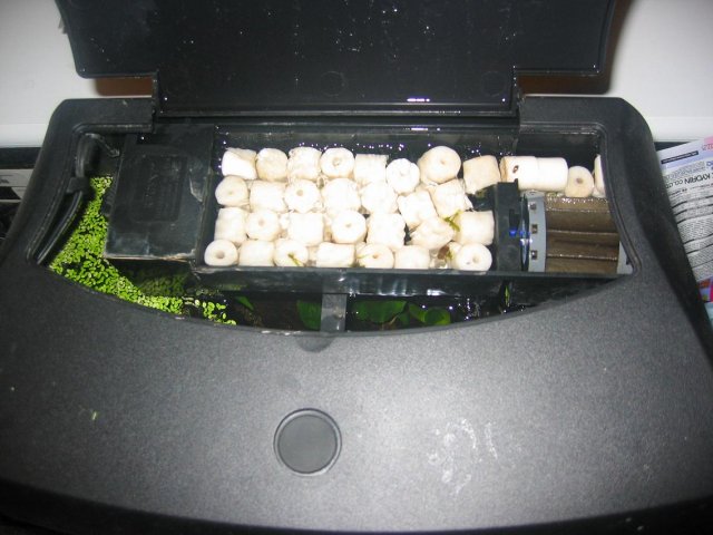 seed material.jpg