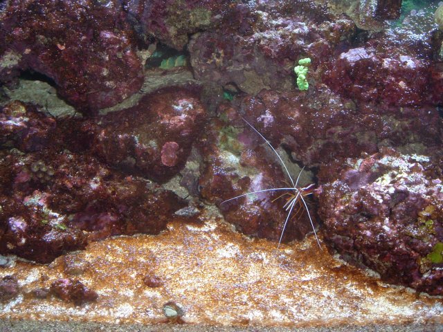DSCF0004.jpg DSCF0004.jpg