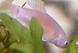 000_2712.JPG