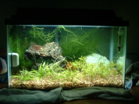 2006_0702_204158AA.JPG 2006_0702_204158AA.JPG