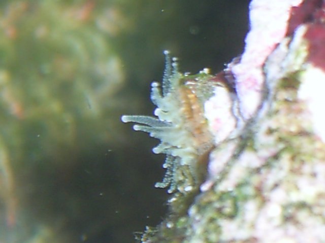 PIC_0382.JPG