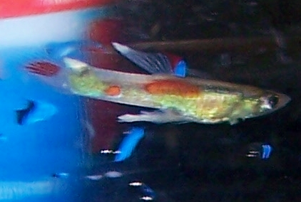 000_2996.JPG