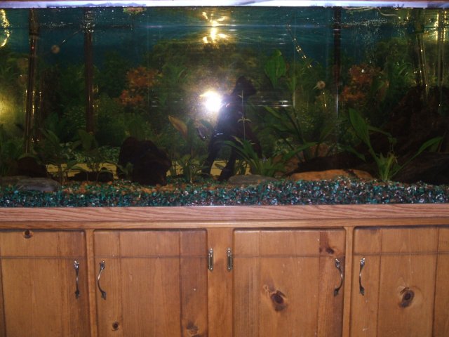 DSCF0710.JPG