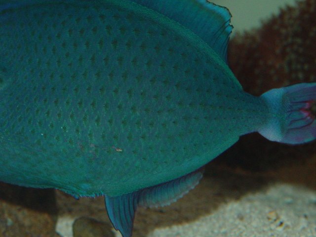 DSC04021.JPG