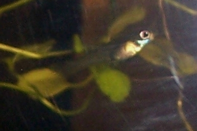 000_3173.JPG