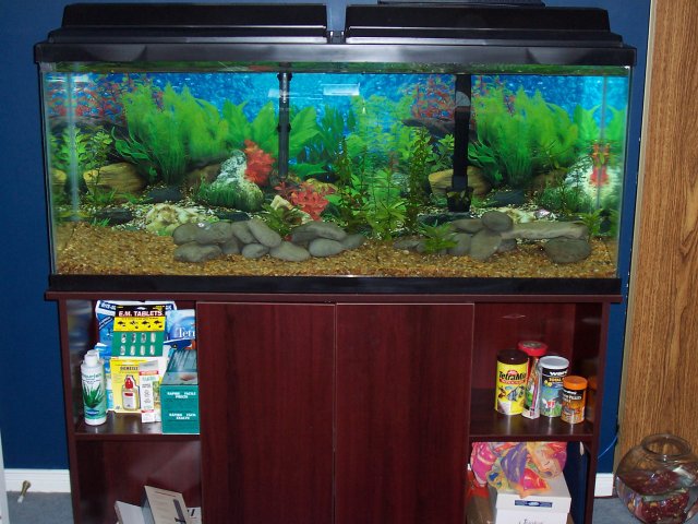 100_2669.JPG