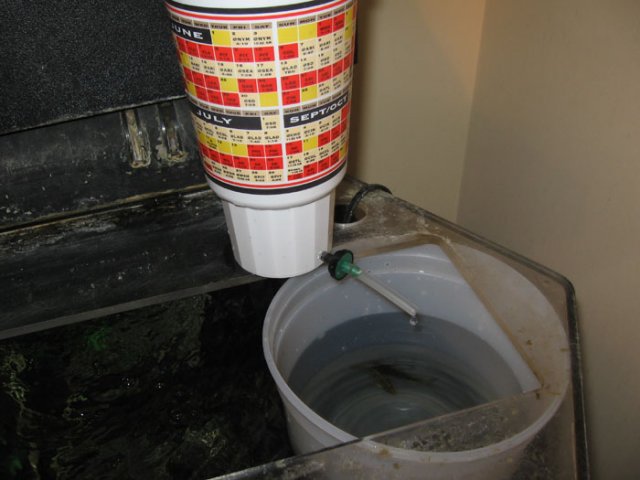 dripper.jpg