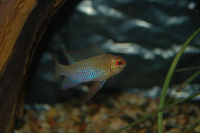 DSC_0001.JPG
