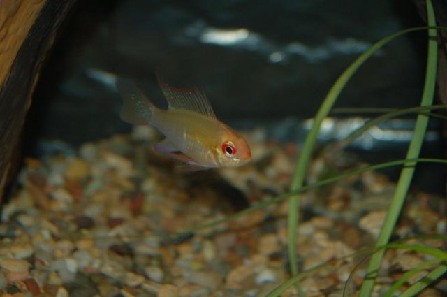 DSC_0012.JPG