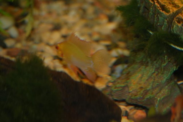 DSC_0008.JPG