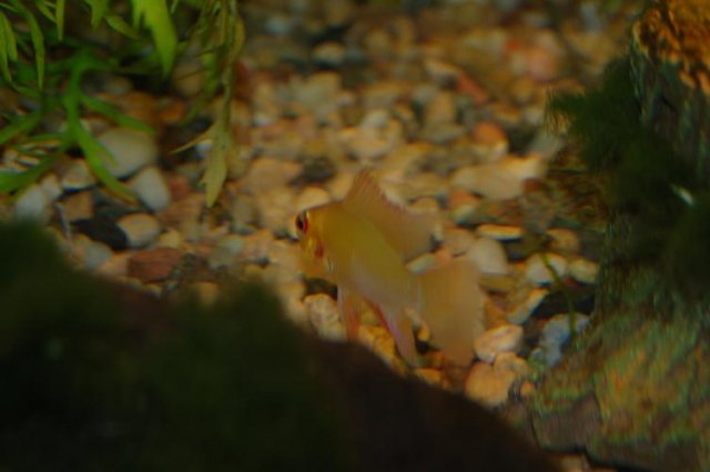 DSC_0009.JPG