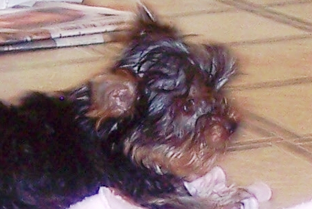 000_3224.JPG