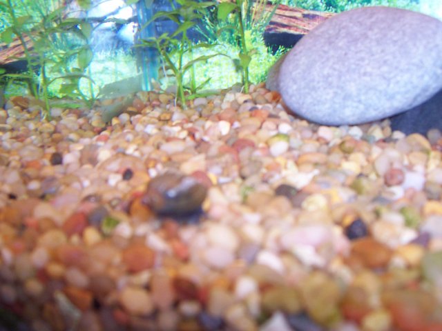 100_2723.JPG