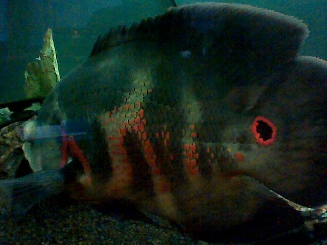 Picture 007.jpg