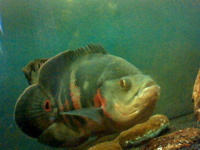 Picture 005.jpg