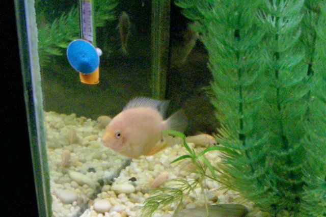 000_1211.jpg