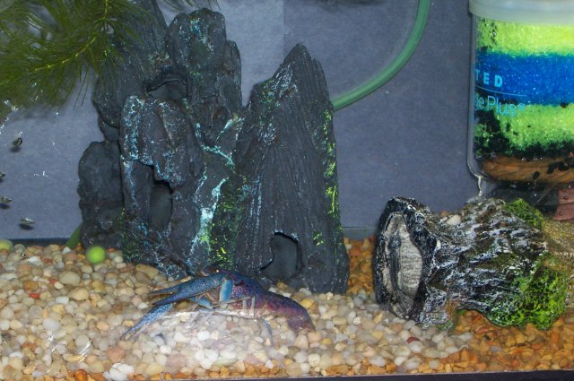 000_1159.jpg