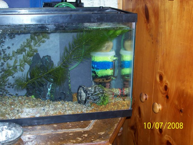 000_1139.jpg