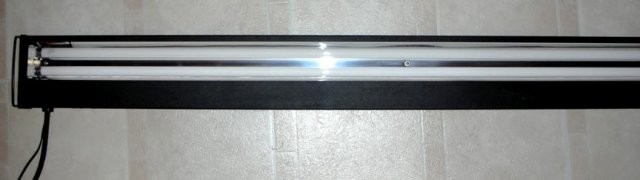 DSCN4184.JPG