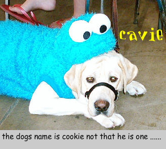clint-cookiemonster-1.jpg