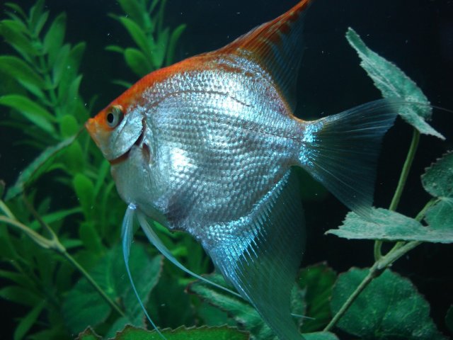 0803 005.jpg