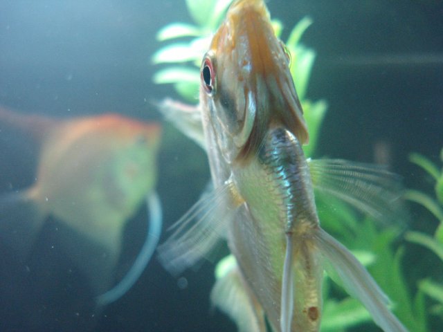 0803 013.jpg