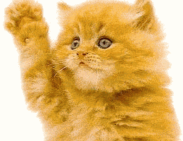 13260wo3n4kser6_E42JP8.gif