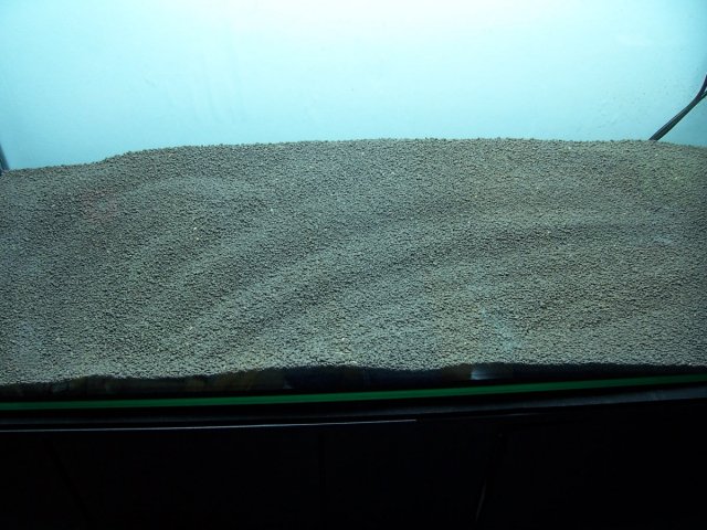 000_1404.JPG