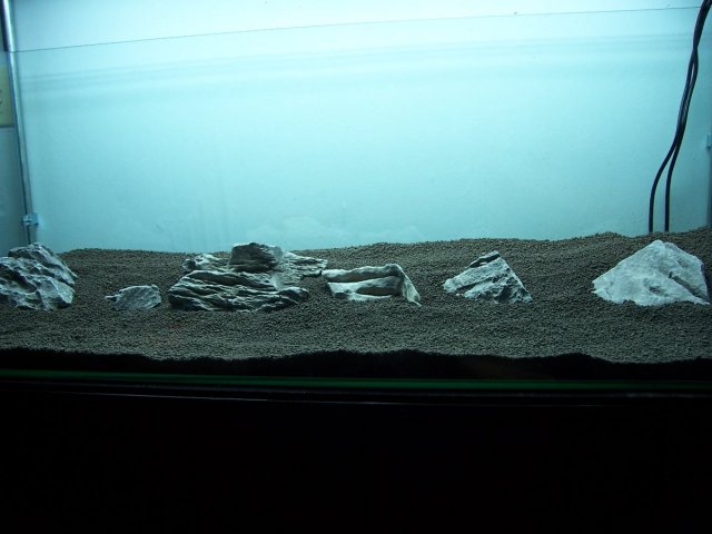000_1408.JPG