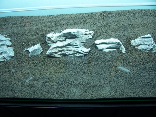 000_1409.JPG