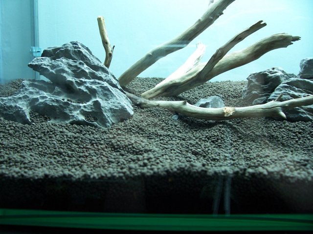 000_1412.JPG