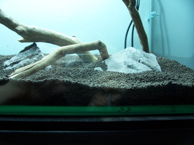 000_1413.JPG