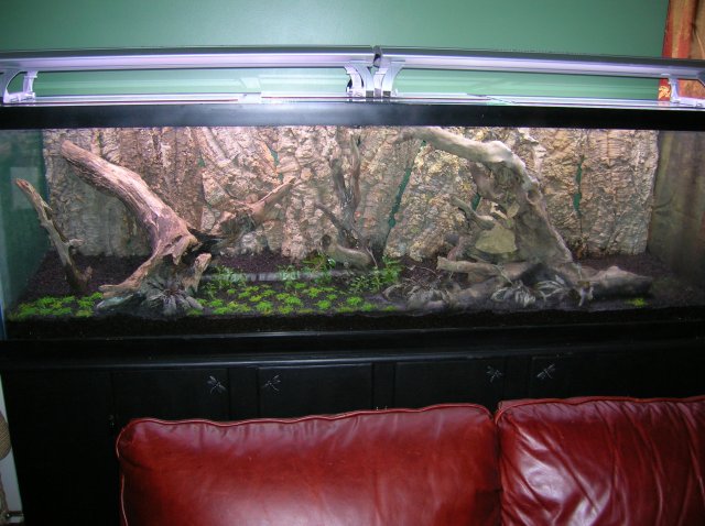 Tank_10_30_08 017.JPG