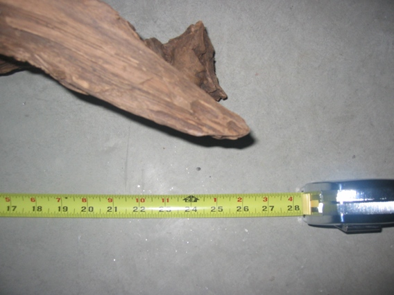 SMALL3.jpg