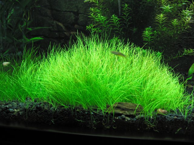 106-0687_IMG.JPG