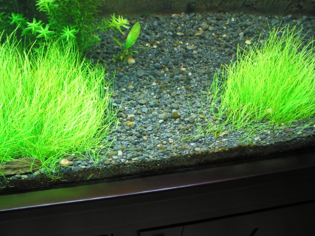 106-0685_IMG.JPG